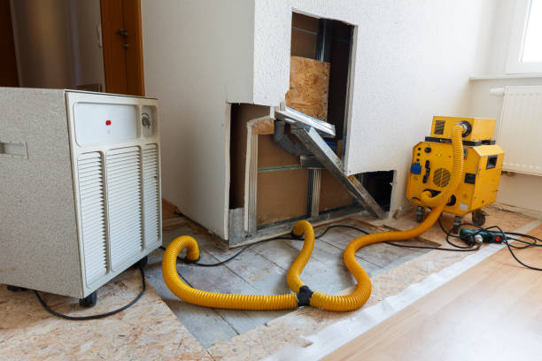 Best Mold Remediation for Healthcare Facilities  in Oneonta, AL