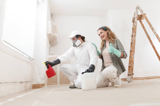 Mold Remediation for Rental Properties in Oneonta, AL